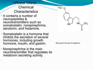 Comprehensive Overview of Endocrine Pancreas, Pineal and Thymus Glands ...