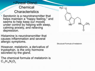 Comprehensive Overview of Endocrine Pancreas, Pineal and Thymus Glands ...
