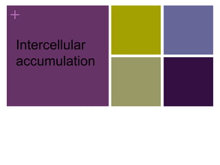 +
Intercellular
accumulation
 