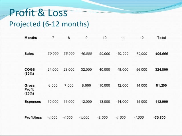 profit loss projection template profit loss projection