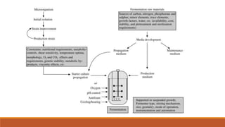 Bioprocess Technology | PPTX