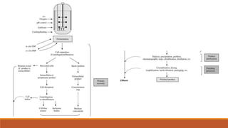Bioprocess Technology | PPTX