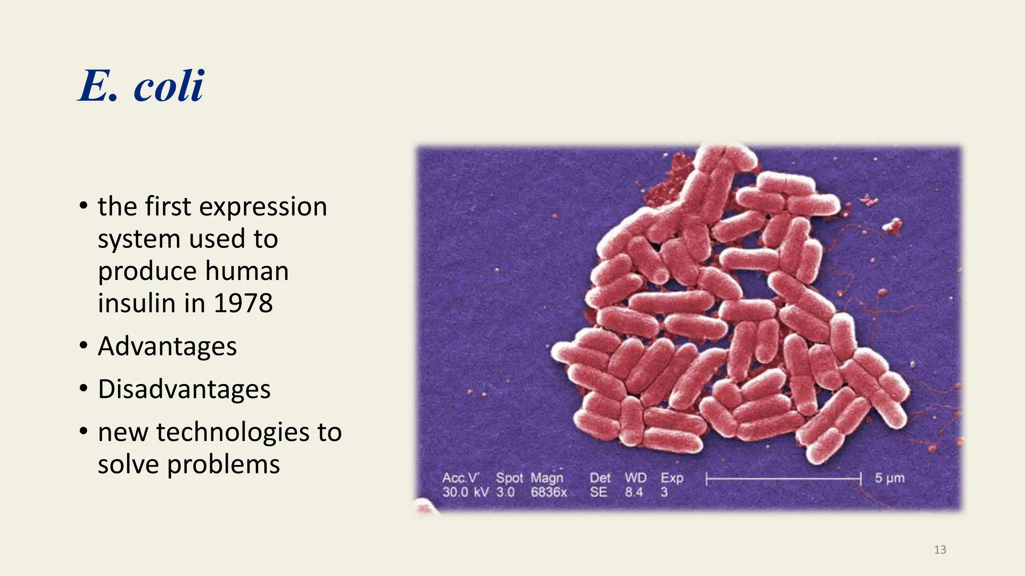 Microbial Insulin Production powerpoint presentation | PPTX