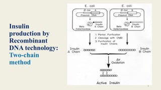Microbial Insulin Production powerpoint presentation | PPTX