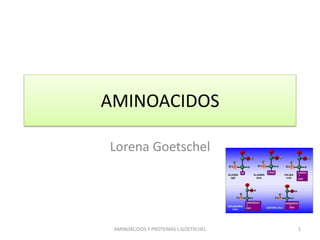 AMINOACIDOS

Lorena Goetschel




 AMINOÁCIDOS Y PROTEINAS L.GOETSCHEL   1
 
