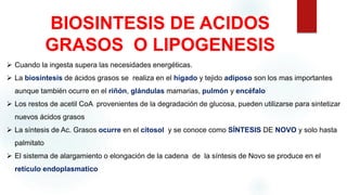BIOSINTESIS DE ACIDOS
GRASOS O LIPOGENESIS
 Cuando la ingesta supera las necesidades energéticas.
 La biosíntesis de ácidos grasos se realiza en el hígado y tejido adiposo son los mas importantes
aunque también ocurre en el riñón, glándulas mamarias, pulmón y encéfalo
 Los restos de acetil CoA provenientes de la degradación de glucosa, pueden utilizarse para sintetizar
nuevos ácidos grasos
 La síntesis de Ac. Grasos ocurre en el citosol y se conoce como SÍNTESIS DE NOVO y solo hasta
palmitato
 El sistema de alargamiento o elongación de la cadena de la síntesis de Novo se produce en el
retículo endoplasmatico
 