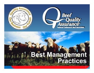 1




                            Best Management
                                   Practices
                                   P   ti
Best Management Practices                  1
 