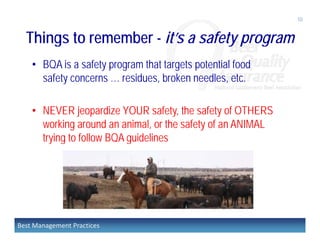 Key Bqa Practices Best Management Practices in Beef | PDF