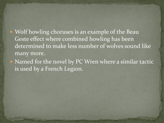  Wolf howling choruses is an example of the Beau
  Geste effect where combined howling has been
  determined to make less number of wolves sound like
  many more.
 Named for the novel by PC Wren where a similar tactic
  is used by a French Legion.
 