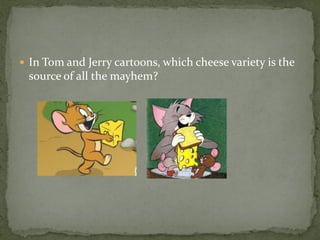  In Tom and Jerry cartoons, which cheese variety is the
 source of all the mayhem?
 
