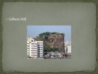  Gilbert Hill
 