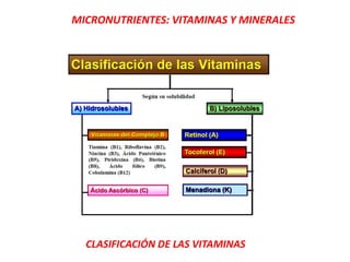 MICRONUTRIENTES: VITAMINAS Y MINERALES
CLASIFICACIÓN DE LAS VITAMINAS
 