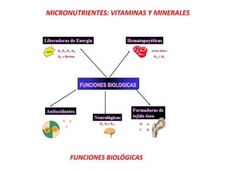MICRONUTRIENTES: VITAMINAS Y MINERALES
FUNCIONES BIOLÓGICAS
 
