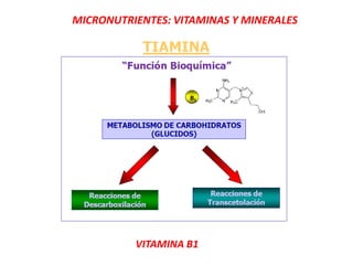 MICRONUTRIENTES: VITAMINAS Y MINERALES
VITAMINA B1
 