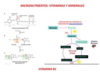 MICRONUTRIENTES: VITAMINAS Y MINERALES
VITAMINA B1
 