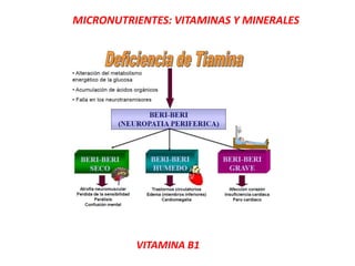 MICRONUTRIENTES: VITAMINAS Y MINERALES
VITAMINA B1
 