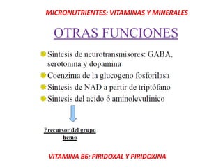 MICRONUTRIENTES: VITAMINAS Y MINERALES
VITAMINA B6: PIRIDOXAL Y PIRIDOXINA
 