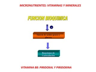 MICRONUTRIENTES: VITAMINAS Y MINERALES
VITAMINA B8: PIRIDOXAL Y PIRIDOXINA
 
