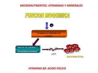 MICRONUTRIENTES: VITAMINAS Y MINERALES
VITAMINA B9: ACIDO FOLICO
 