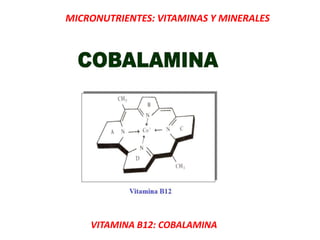 MICRONUTRIENTES: VITAMINAS Y MINERALES
VITAMINA B12: COBALAMINA
 