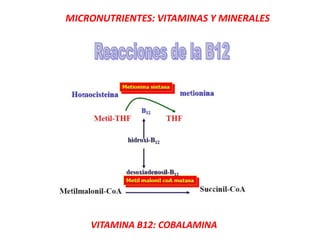 MICRONUTRIENTES: VITAMINAS Y MINERALES
VITAMINA B12: COBALAMINA
 