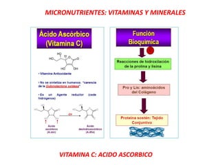 MICRONUTRIENTES: VITAMINAS Y MINERALES
VITAMINA C: ACIDO ASCORBICO
 
