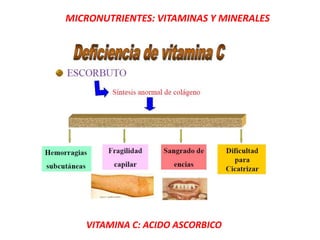 MICRONUTRIENTES: VITAMINAS Y MINERALES
VITAMINA C: ACIDO ASCORBICO
 