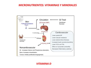 MICRONUTRIENTES: VITAMINAS Y MINERALES
VITAMINA D
 
