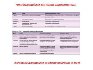 FUNCIÓN BIOQUÍMICA DEL TRACTO GASTROINTESTINAL
IMPORTANCIA BIOQUIMICA DE CARBOHIDRATOS DE LA DIETA
 