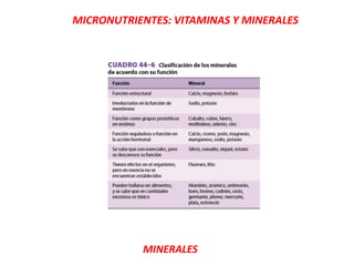 MICRONUTRIENTES: VITAMINAS Y MINERALES
MINERALES
 