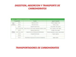 TRANSPORTADORES DE CARBOHIDRATOS
DIGESTION, ABSORCION Y TRANSPORTE DE
CARBOHIDRATOS
 