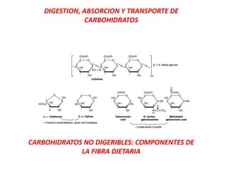CARBOHIDRATOS NO DIGERIBLES: COMPONENTES DE
LA FIBRA DIETARIA
DIGESTION, ABSORCION Y TRANSPORTE DE
CARBOHIDRATOS
 