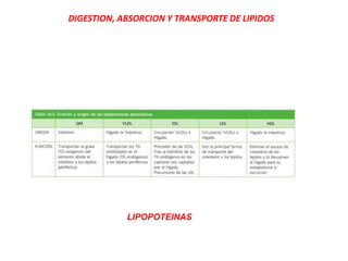 DIGESTION, ABSORCION Y TRANSPORTE DE LIPIDOS
LIPOPOTEINAS
 