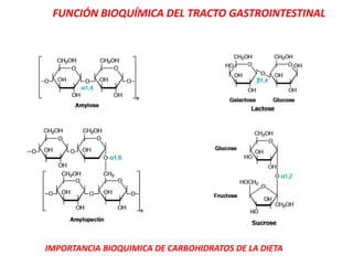 FUNCIÓN BIOQUÍMICA DEL TRACTO GASTROINTESTINAL
IMPORTANCIA BIOQUIMICA DE CARBOHIDRATOS DE LA DIETA
 