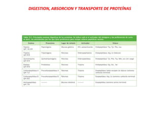 DIGESTION, ABSORCION Y TRANSPORTE DE PROTEÍNAS
 