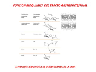 FUNCION BIOQUIMICA DEL TRACTO GASTROINTESTINAL
ESTRUCTURA BIOQUIMICA DE CARBOHIDRATOS DE LA DIETA
 