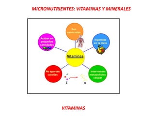 MICRONUTRIENTES: VITAMINAS Y MINERALES
VITAMINAS
 