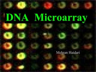 DNA Microarray
Mehran Haidari
 