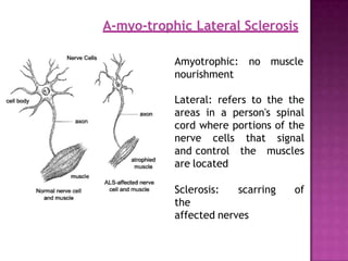 A-myo-trophic Lateral Sclerosis
Amyotrophic:
nourishment
no muscle
Lateral: refers to the the
areas in a person's spinal
cord where portions of the
nerve cells that signal
and control the muscles
are located
Sclerosis: scarring of
the
affected nerves
 