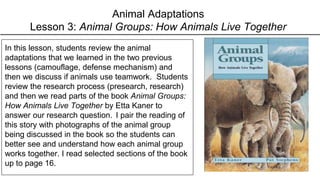 Animal Adaptations
Lesson 3: Animal Groups: How Animals Live Together
In this lesson, students review the animal
adaptations that we learned in the two previous
lessons (camouflage, defense mechanism) and
then we discuss if animals use teamwork. Students
review the research process (presearch, research)
and then we read parts of the book Animal Groups:
How Animals Live Together by Etta Kaner to
answer our research question. I pair the reading of
this story with photographs of the animal group
being discussed in the book so the students can
better see and understand how each animal group
works together. I read selected sections of the book
up to page 16.
 