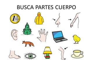 BUSCA	PARTES	CUERPO
 