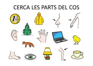CERCA	LES	PARTS	DEL	COS
 