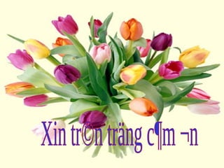 Nghiên cứu tình trạng thiếu máu ở bệnh nhân suy tim mãn tính