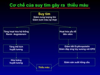 Cơ chế của suy tim gây ra thiếu máu
Tăng hoạt hóa hệ thống
Renin Angiotensin
Tăng thể tích
huyết tương
Hòa loãng
huyết tương
Suy tim
Giảm cung lượng tim
Giảm tưới máu tại thận
Hoạt hóa yếu tố
tiền viêm
Giảm tiết Erythropoietin
Giảm đáp ứng tủy xương với EPO
Giảm sản xuất hồng cầu
Thiếu máu
 