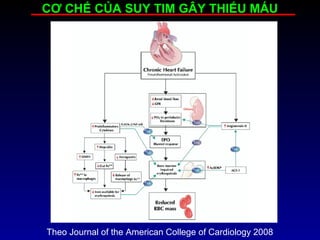 CƠ CHẾ CỦA SUY TIM GÂY THIẾU MÁU
Theo Journal of the American College of Cardiology 2008
 