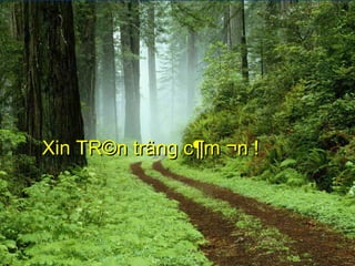 Xin TR©n träng c¶m ¬n !Xin TR©n träng c¶m ¬n !
 