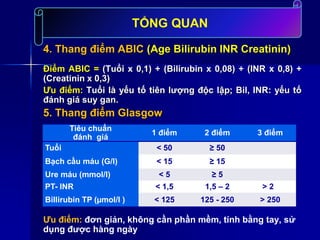 4. Thang điểm ABIC (Age Bilirubin INR Creatinin)
Điểm ABIC = (Tuổi x 0,1) + (Bilirubin x 0,08) + (INR x 0,8) +
(Creatinin x 0,3)
Ưu điểm: Tuổi là yếu tố tiên lượng độc lập; Bil, INR: yếu tố
đánh giá suy gan.
5. Thang điểm Glasgow
Ưu điểm: đơn giản, không cần phần mềm, tính bằng tay, sử
dụng được hàng ngày
Tiêu chuẩn
đánh giá
1 điểm 2 điểm 3 điểm
Tuổi < 50 ≥ 50
Bạch cầu máu (G/l) < 15 ≥ 15
Ure máu (mmol/l) < 5 ≥ 5
PT- INR < 1,5 1,5 – 2 > 2
Billirubin TP (µmol/l ) < 125 125 - 250 > 250
TỔNG QUAN
 