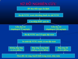 S Đ NGHIÊN C UƠ Ồ ỨS Đ NGHIÊN C UƠ Ồ Ứ
16
BN đau thắt ngực ổn định
Đo độ NTTC trước khi dùng thuốc ức chế NTTC
Can thiệp ĐMV qua da
Liều duy trì
clopidogrel 75 mg/ngày
Liều duy trì
clopidogrel 150 mg/ngày
Đo độ NTTC sau 3-5 ngày đặt stent
So sánh độ NTTC trước và sau đặt stent
Không đáp ứng
(∆ 2-1<10%)
Đáp ứng trung bình
(10%≤ ∆ 2-1≤ 30%)
Đáp ứng tốt
(∆ 2-1>30%)
Theo dõi: tử vong, huyết khối trong stent, chảy máu
 