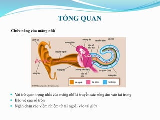 TỔNG QUAN
Chức năng của màng nhĩ:
 Vai trò quan trọng nhất của màng nhĩ là truyền các sóng âm vào tai trong
 Bảo vệ của sổ tròn
 Ngăn chặn các viêm nhiễm từ tai ngoài vào tai giữa.
 