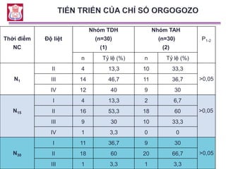 Vũ Thu Thủy (2005): 78,03
Nguyễn Bá Anh (2008): 78,89
So sánh điểm trung bình Barthel giữa hai nhóm theo thời gian
Thời điểm
NC
Độ liệt
Nhóm TDH
(n=30)
(1)
Nhóm TAH
(n=30)
(2)
P1-2
n Tỷ lệ (%) n Tỷ lệ (%)
N1
II 4 13,3 10 33,3
>0,05III 14 46,7 11 36,7
IV 12 40 9 30
N15
I 4 13,3 2 6,7
>0,05II 16 53,3 18 60
III 9 30 10 33,3
IV 1 3,3 0 0
N30
I 11 36,7 9 30
>0,05II 18 60 20 66,7
III 1 3,3 1 3,3
 
